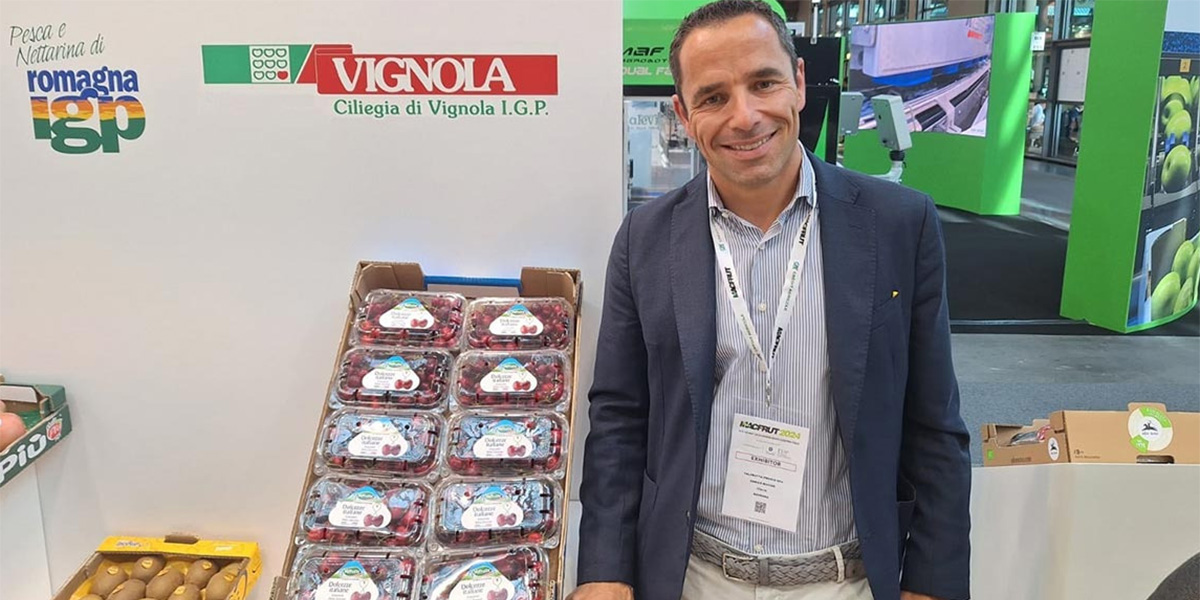 Un’annata sfidante ma di qualità: la campagna ciliegie entra nel vivo